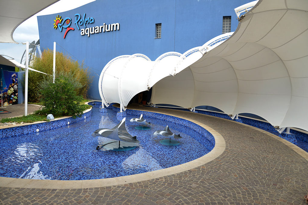 Aquarium Palma