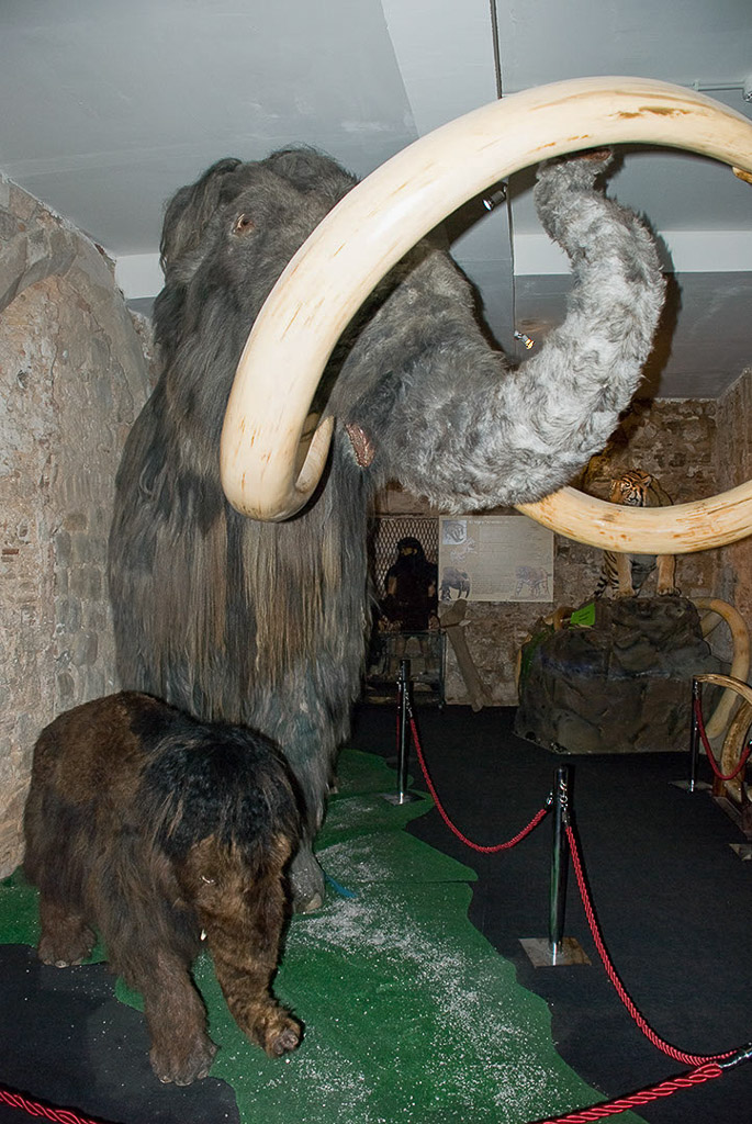 Barcelona- Mammut Museum