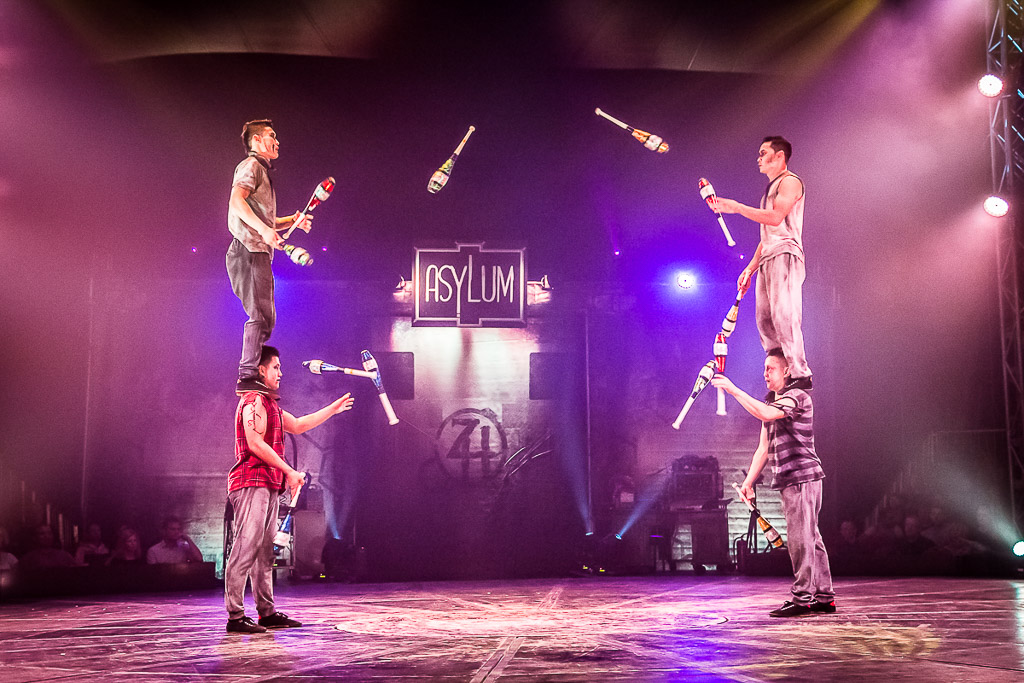 Zircus des Horrors- Asylum