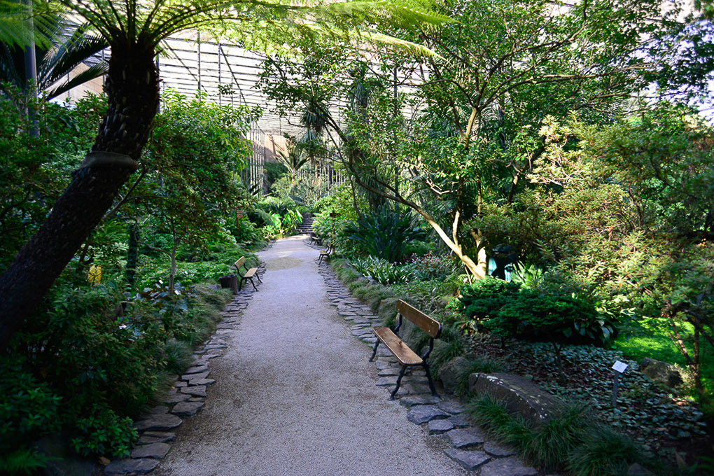 Lissabon - Botanischer Garten