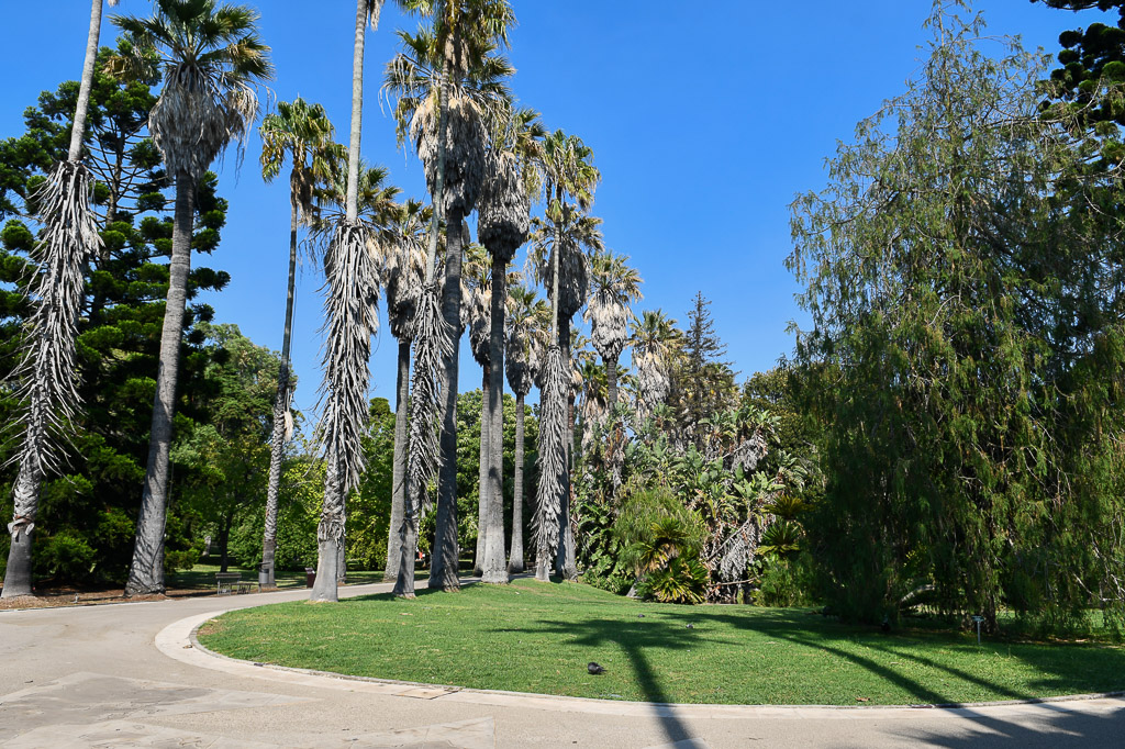 Lissabon - Tropischer botanischen Garten