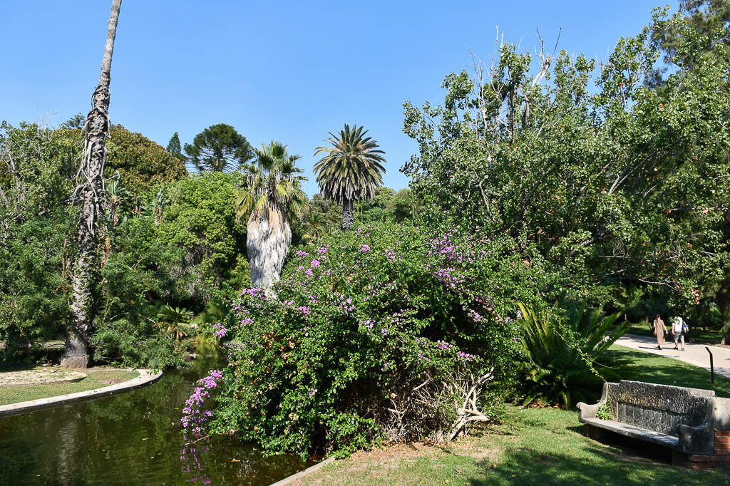 Lissabon - Tropischer botanischen Garten