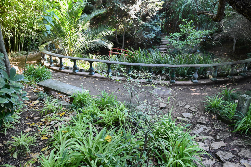 Lissabon - Tropischer botanischen Garten