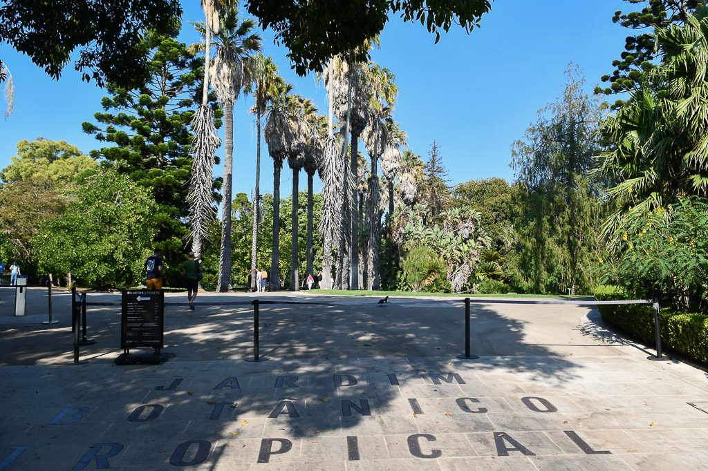 Lissabon - Tropischer botanischen Garten