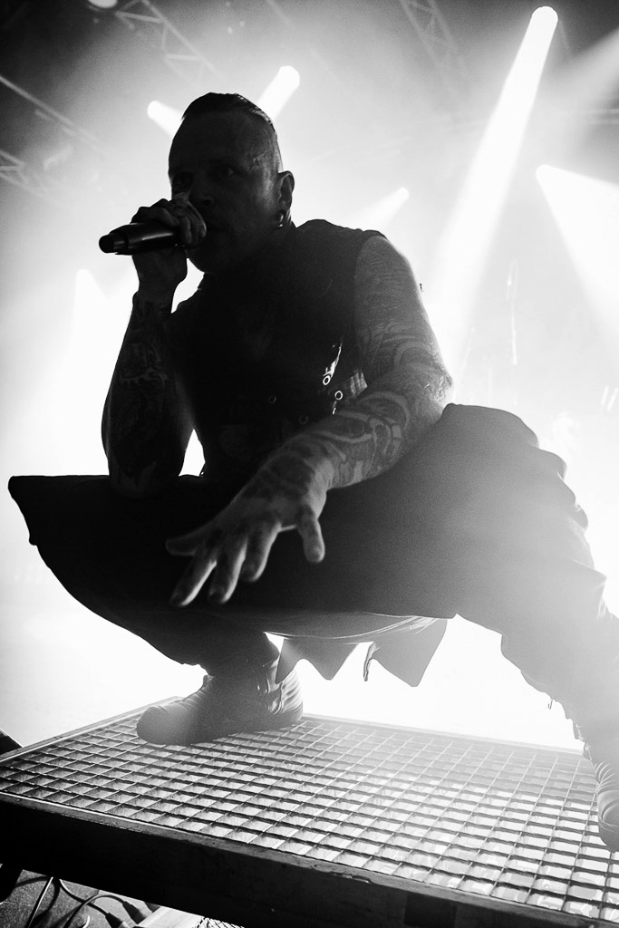 Megaherz  | Combichrist