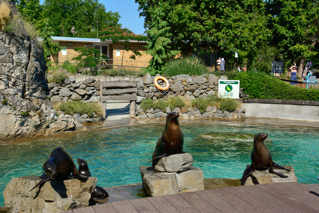 Zoo Köln