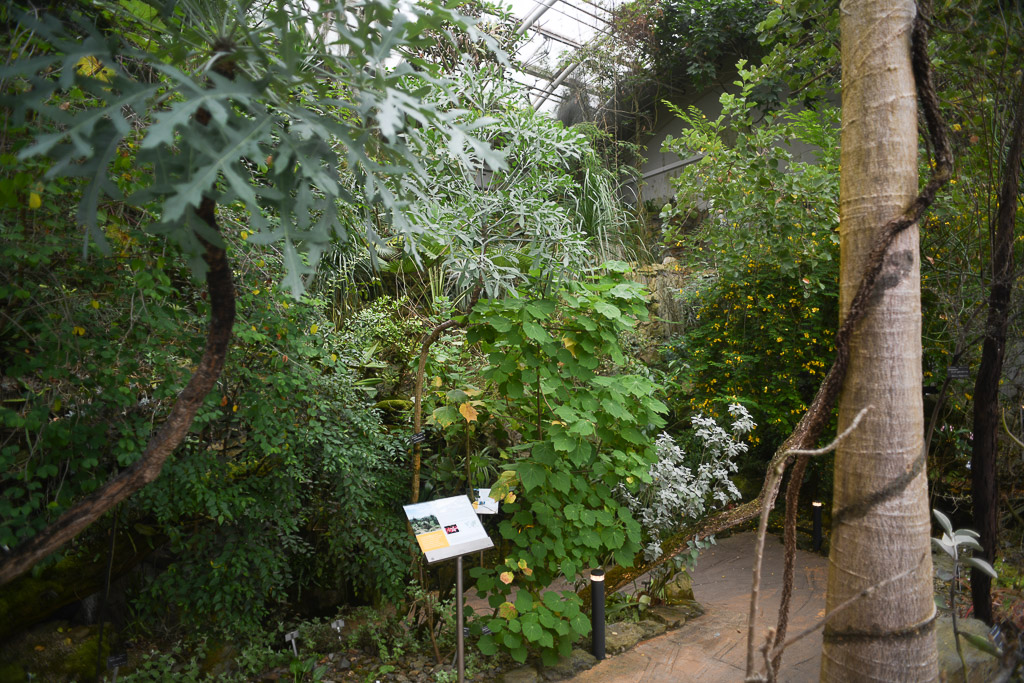 Prag - Botanischer Garten