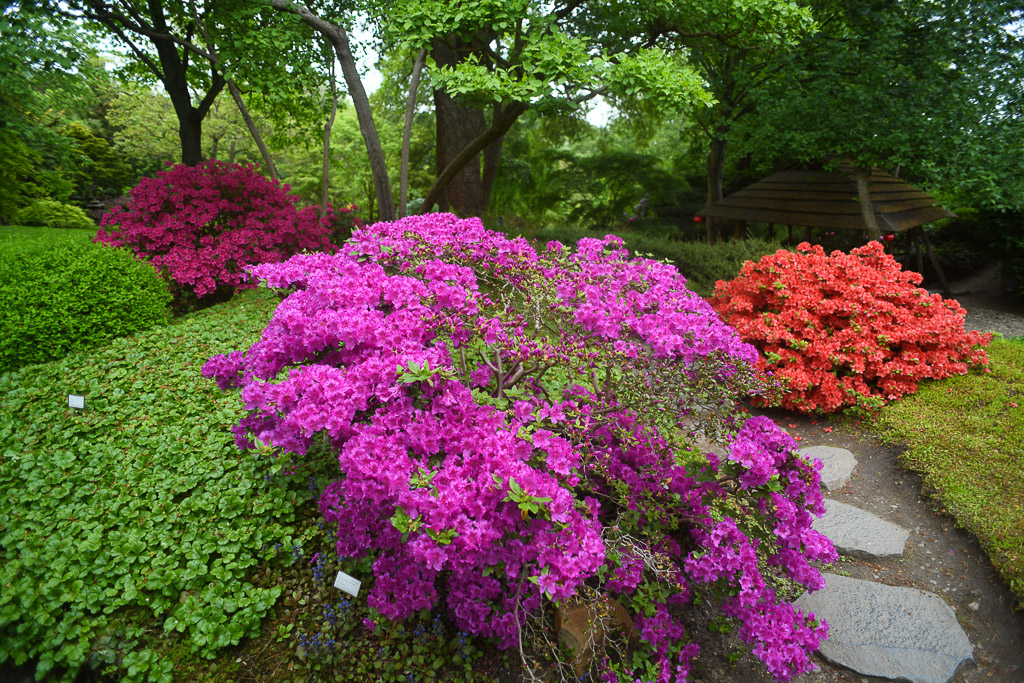 Prag - Botanischer Garten