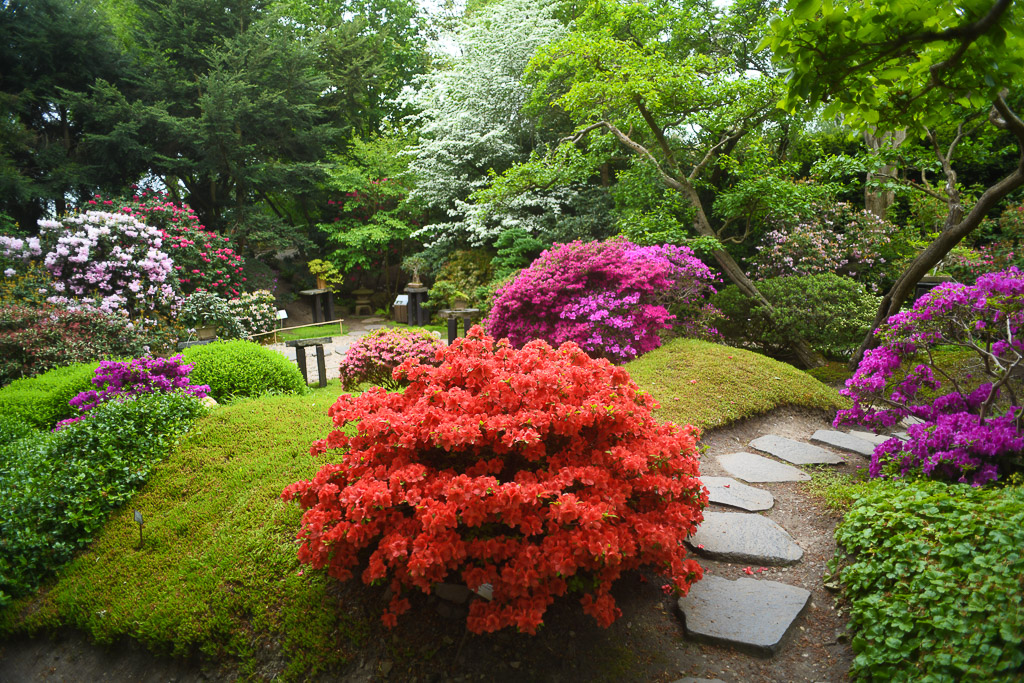 Prag - Botanischer Garten