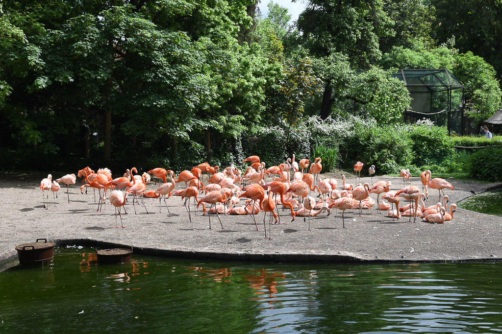 Prager Zoo
