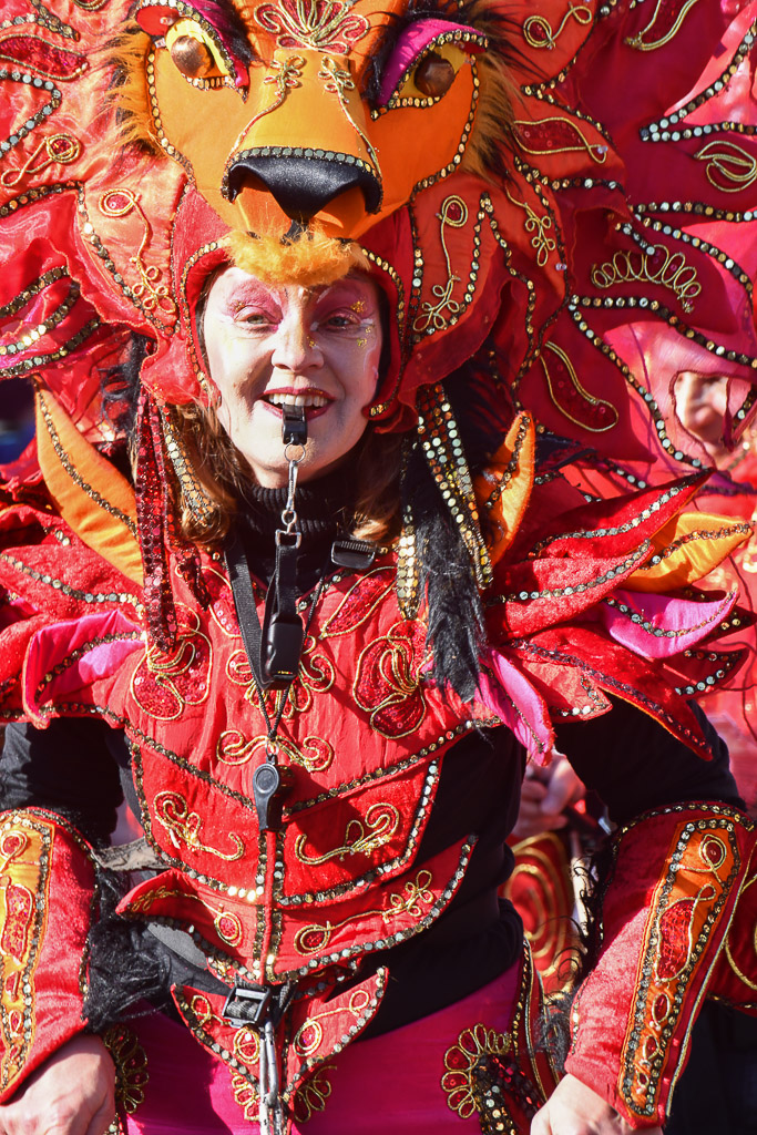 Samba Karneval 2019