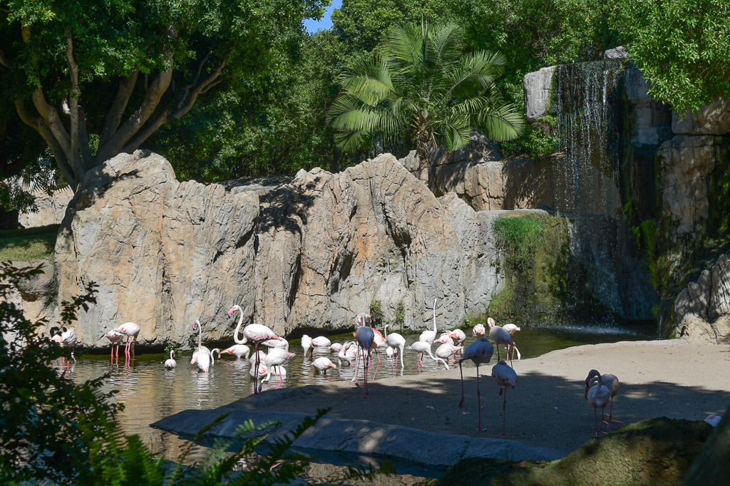 València - Bioparc