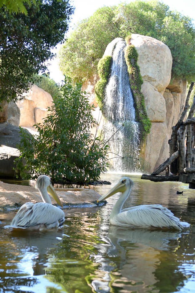 València - Bioparc