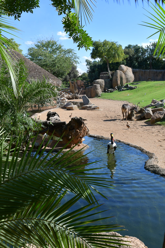 València - Bioparc