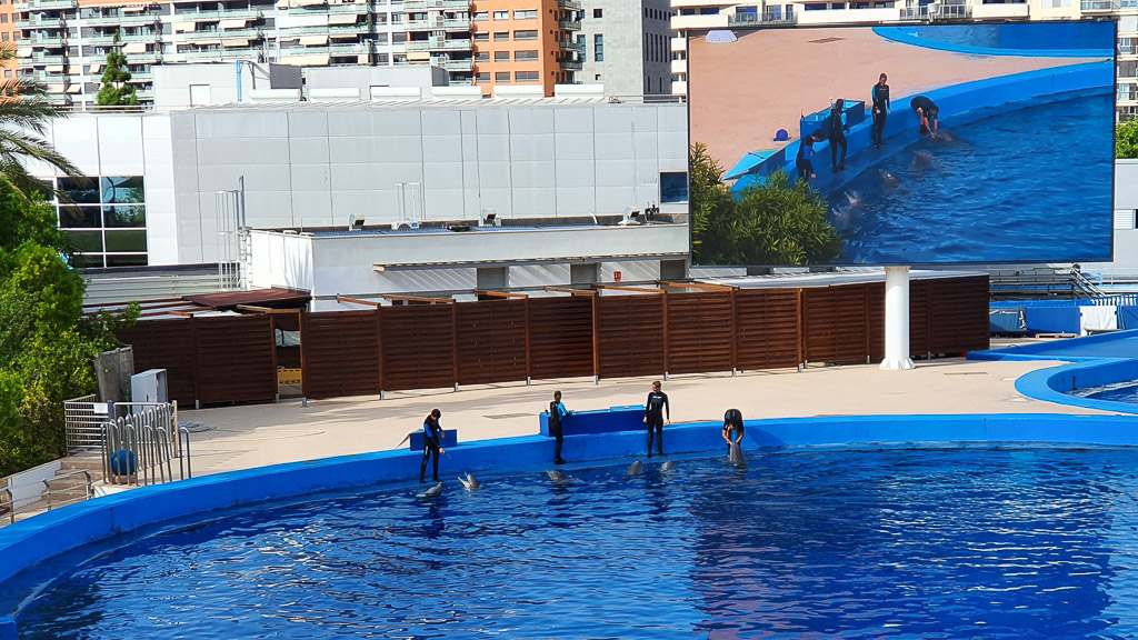 Valencia -Oceanogràfic