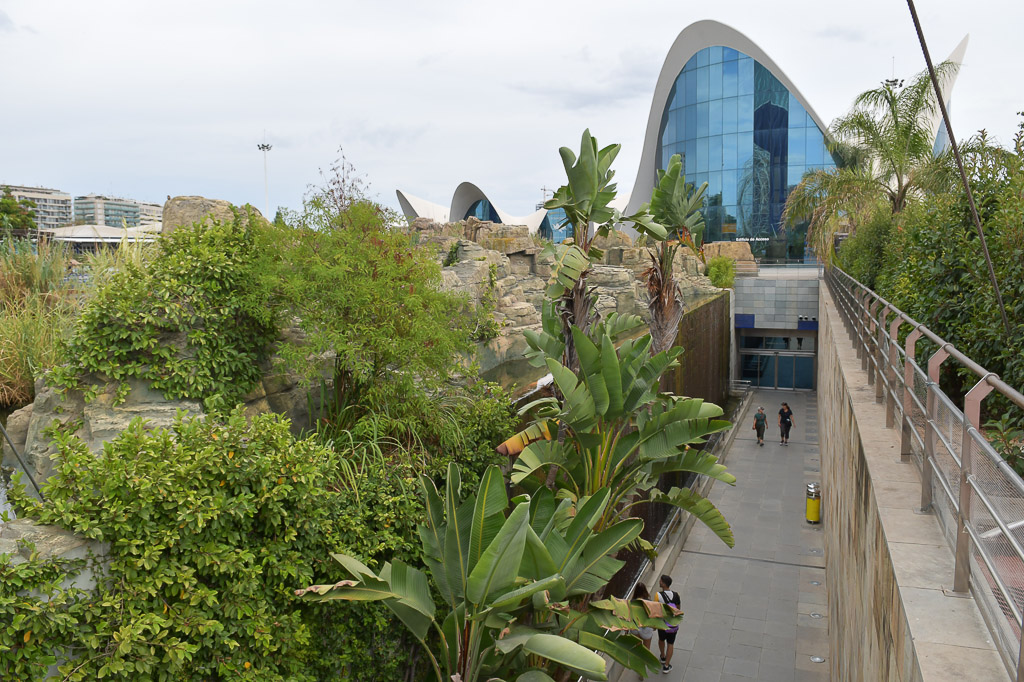 Valencia -Oceanogràfic