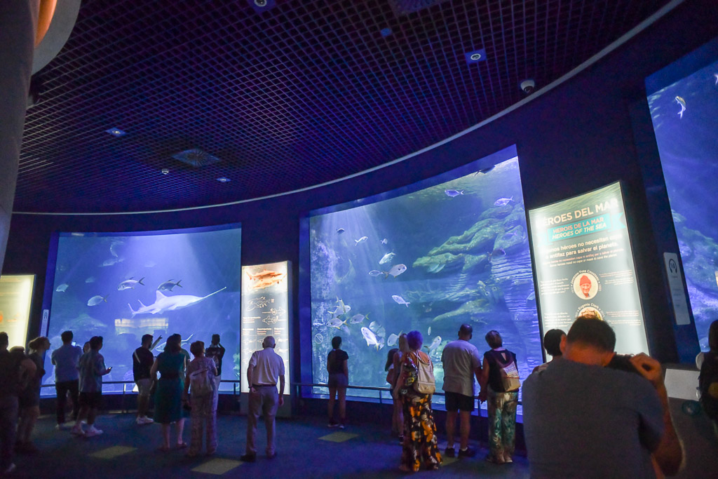 Valencia -Oceanogràfic