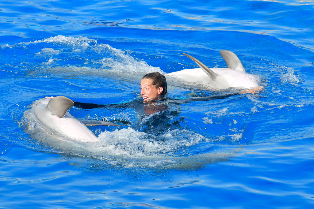 Valencia -Oceanogràfic