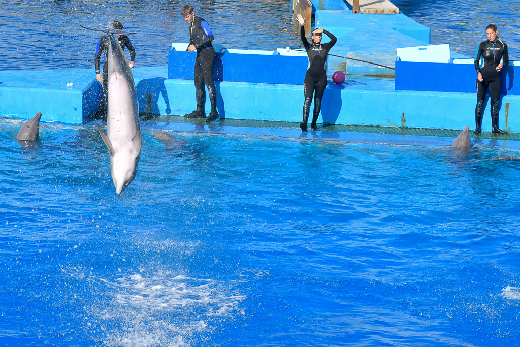 Valencia -Oceanogràfic