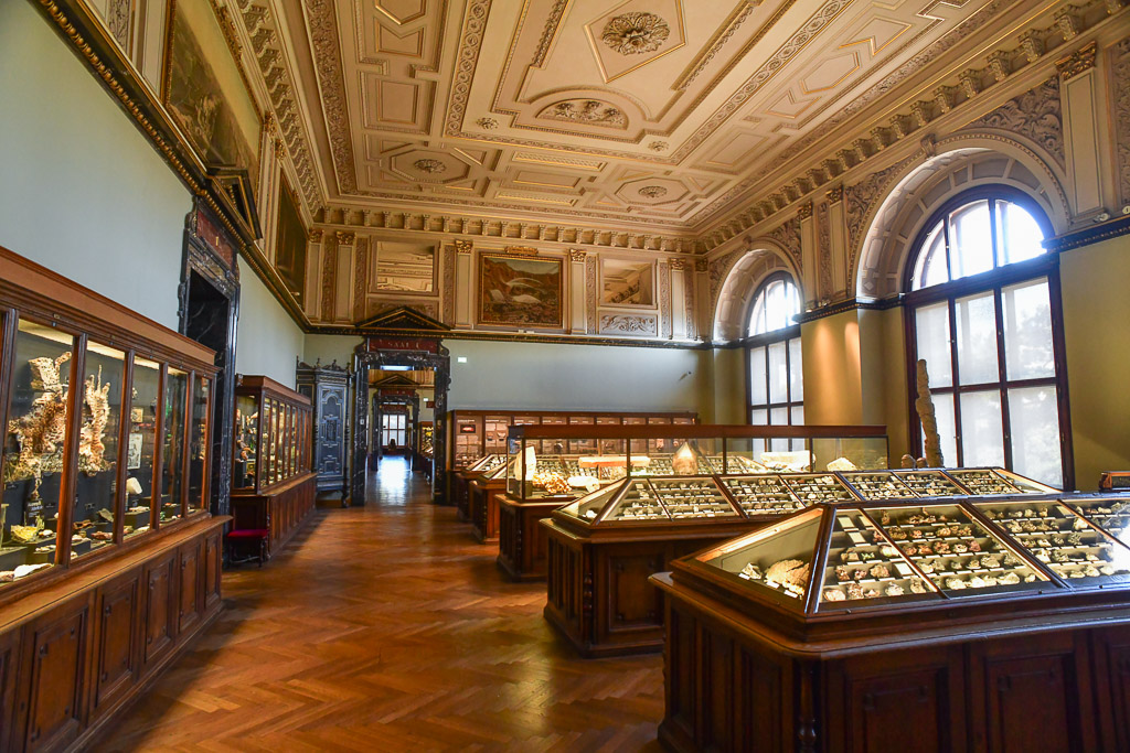 Wien- Naturkundemuseum
